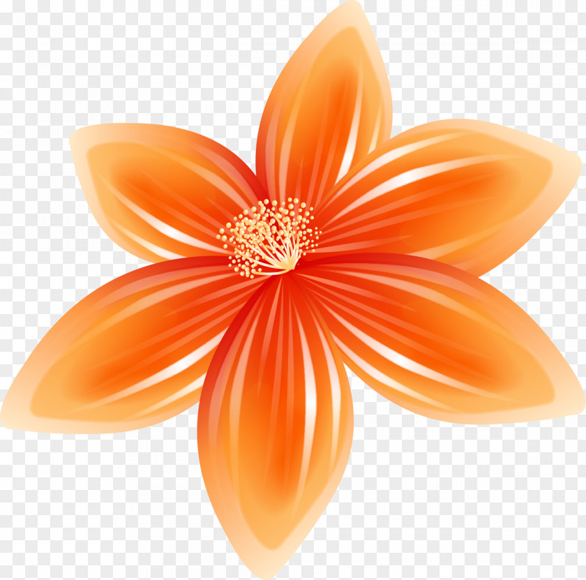 Dahlia Cut Flowers Petal PNG