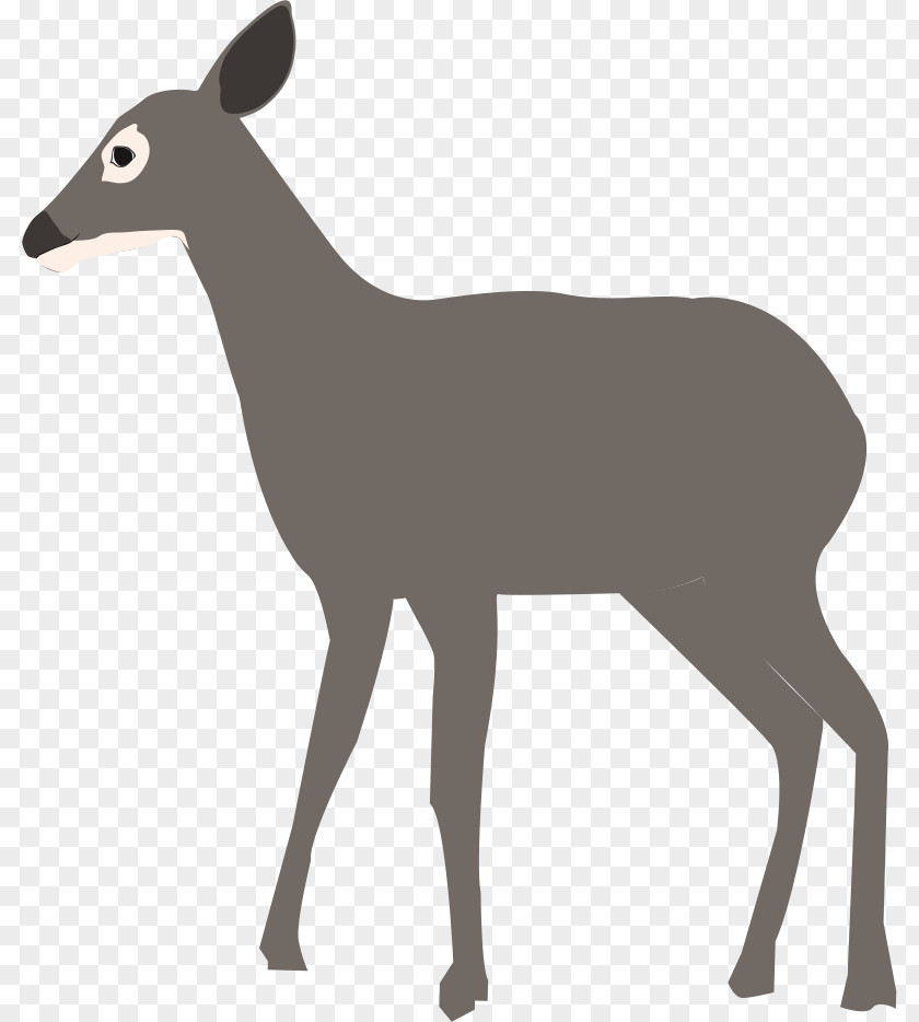 Deer White-tailed Elk Antelope Clip Art PNG