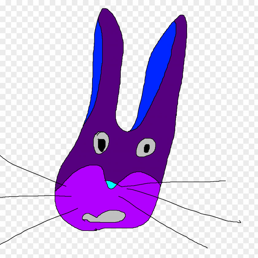 Rabbit Domestic Hare Easter Bunny Whiskers PNG