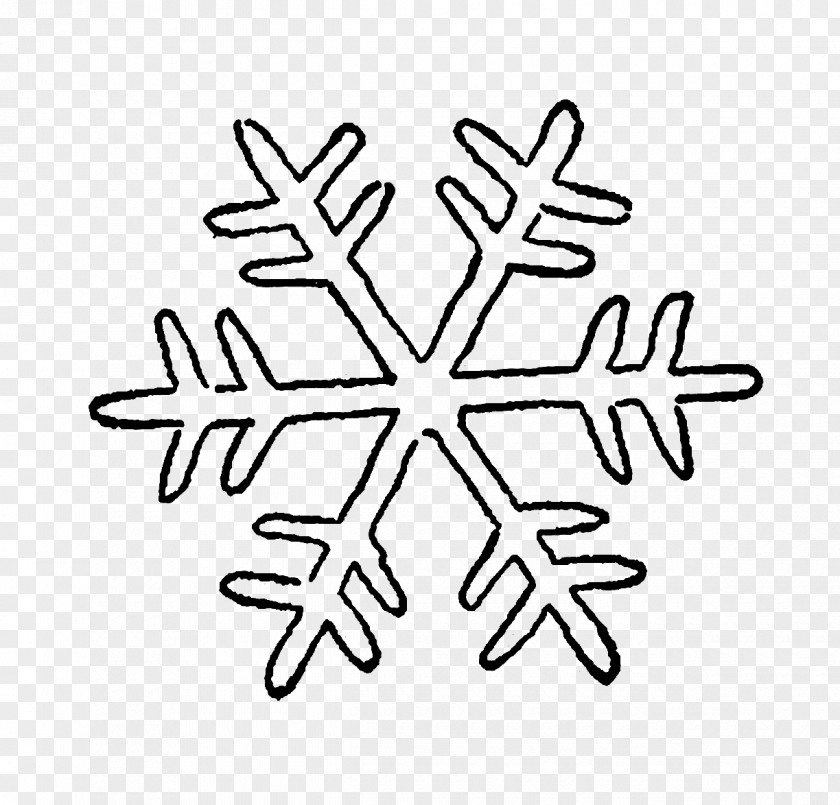 Snow Decorative Pattern Snowflake Clip Art PNG