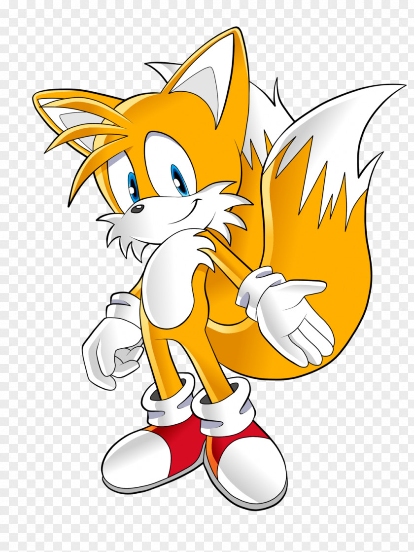 Tails Sonic Riders SegaSonic The Hedgehog Knuckles Echidna Drawing PNG