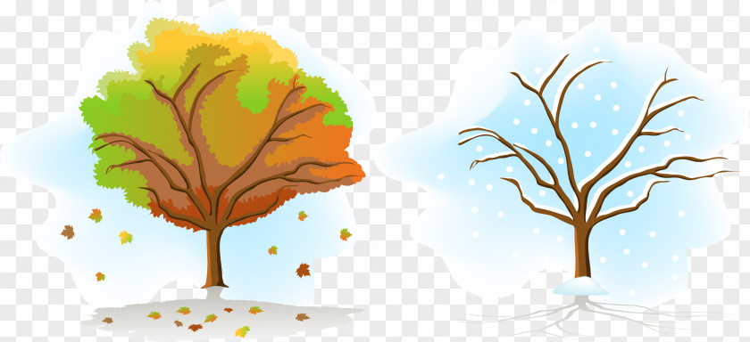 Vector Autumn And Winter Trees Season Tree Illustration PNG