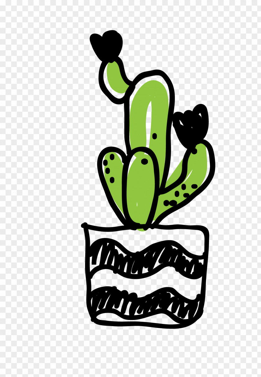 Vector Cactus Material Cactaceae Euclidean Clip Art PNG
