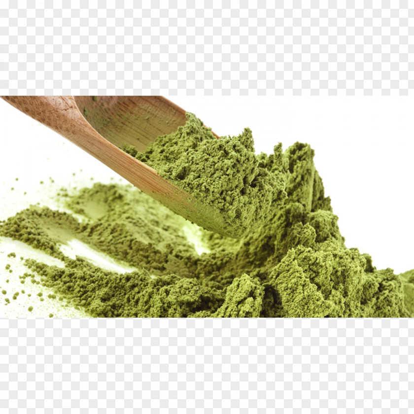 Moringa Drumstick Tree Nutrient Powder Mineral Vitamin PNG