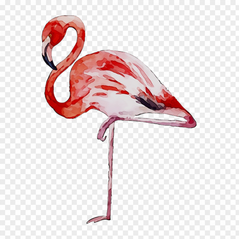 Temporary Tattoos & Stickers Flamingo Paper Image PNG