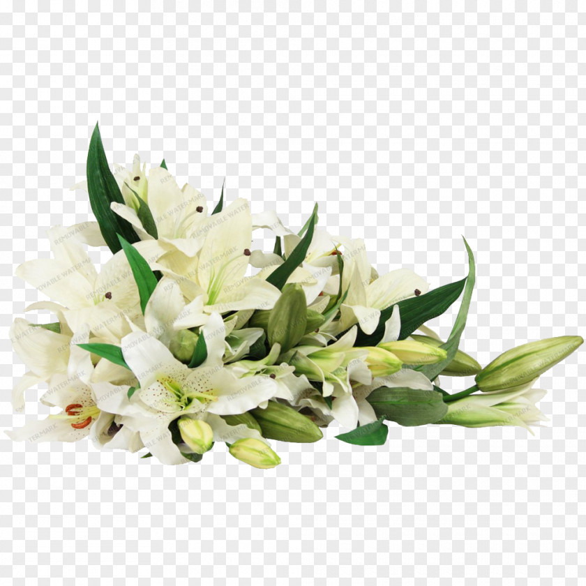 White Lilies Floral Design Flower Bouquet Lily Cut Flowers PNG