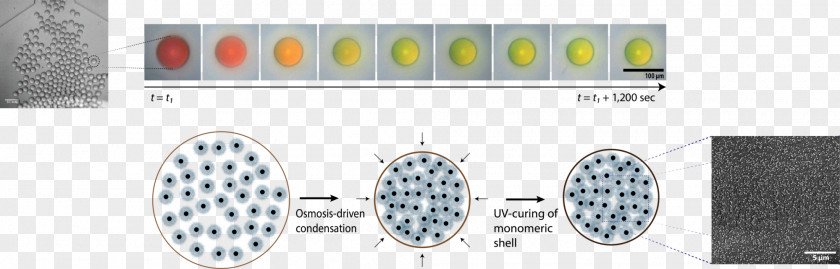 Yellow Particle Light Photonic Crystal Structural Coloration Photonics PNG