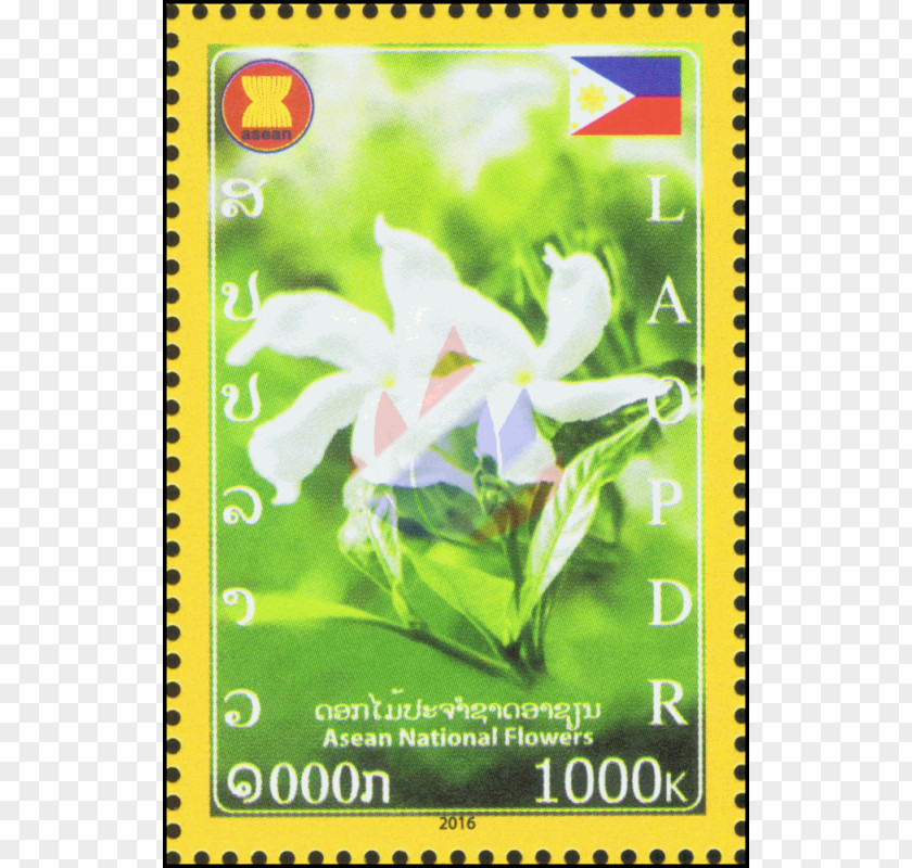 Flower Arabian Jasmine Association Of Southeast Asian Nations Vanda 'Miss Joaquim' Olives PNG