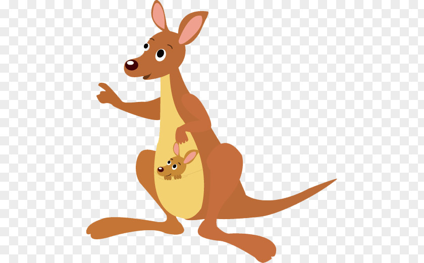 Kangaroo Koala Stock Illustration PNG