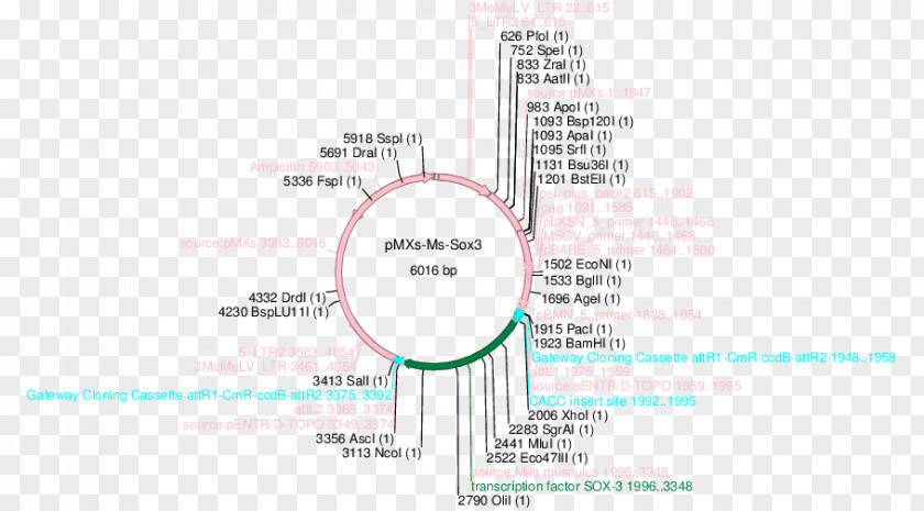 Molecular Vector Paper Diagram Line Font PNG