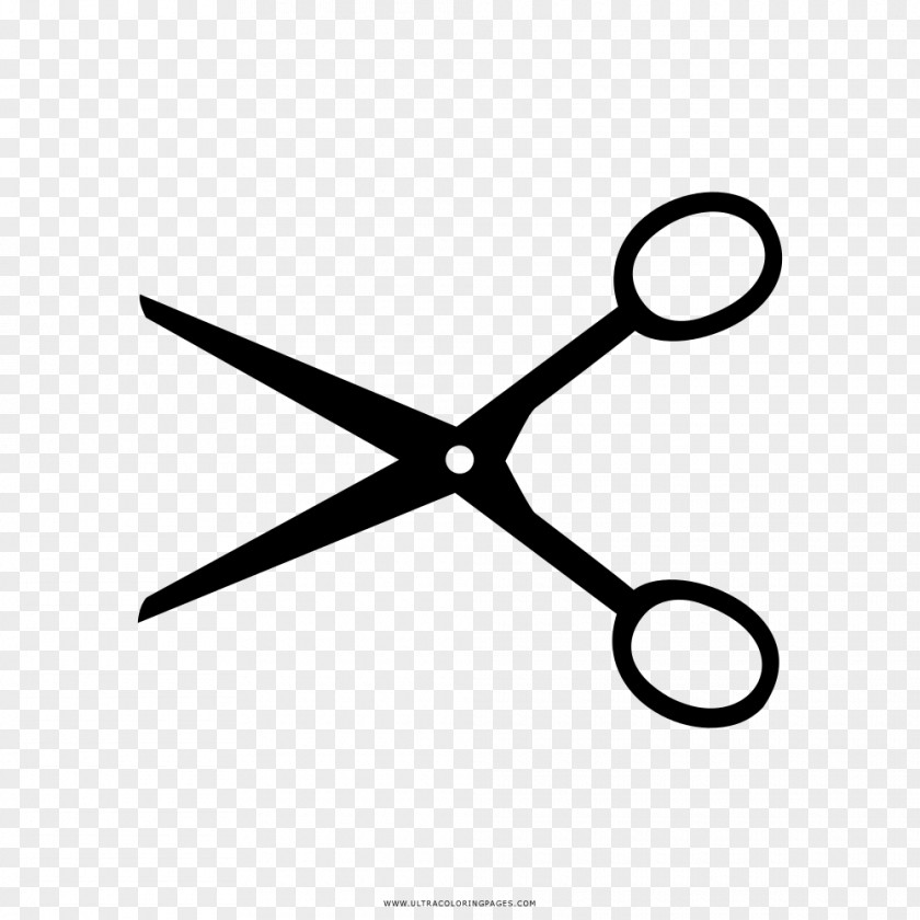 Scissors Drawing Cosmetologist Beauty Parlour Hairstyle PNG