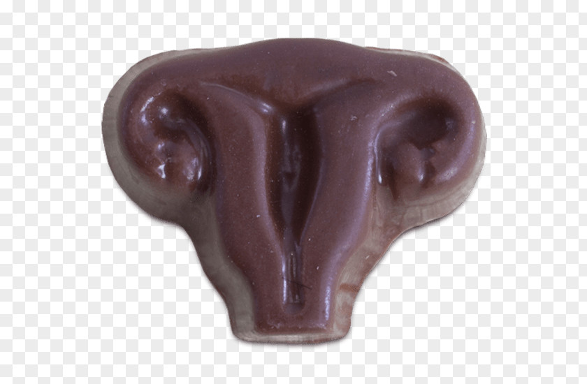 Yummy Chocolate Chip Cookie Uterus Candy Shape PNG