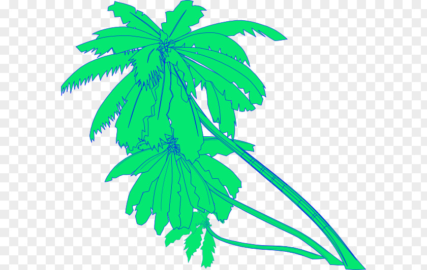 Arecaceae Clip Art PNG
