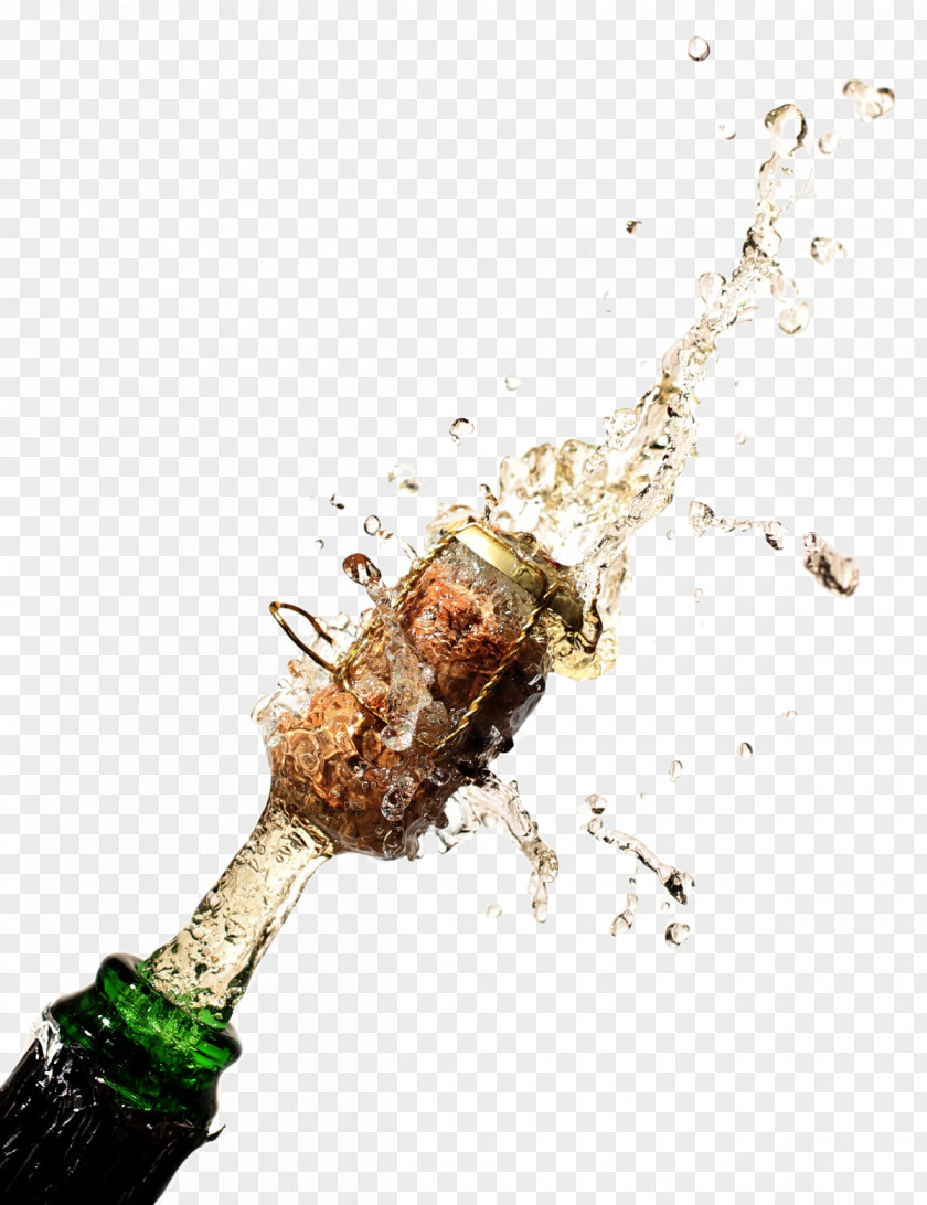 Bartender Champagne Glass Sparkling Wine Drink Bottle PNG