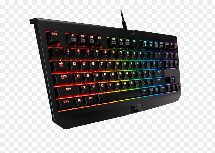 Blackwidow Computer Keyboard Razer BlackWidow Tournament Edition 2014 US RAZER Deutsch Gaming Keypad PNG