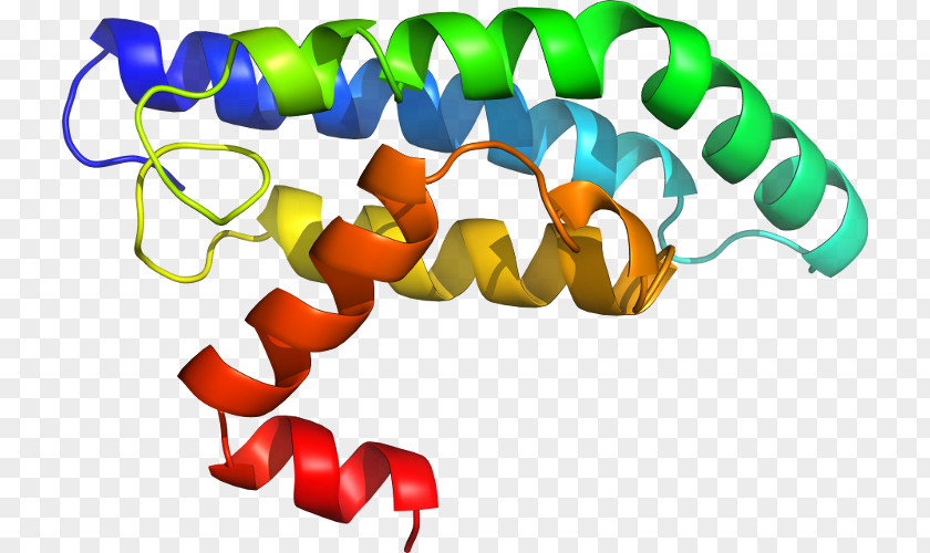 Clip Art Line Product Orange S.A. Reverse Transcriptase PNG