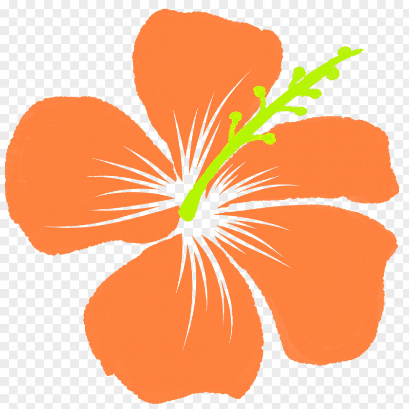 Orange Rosemallows ハイビスカス Clip Art PNG