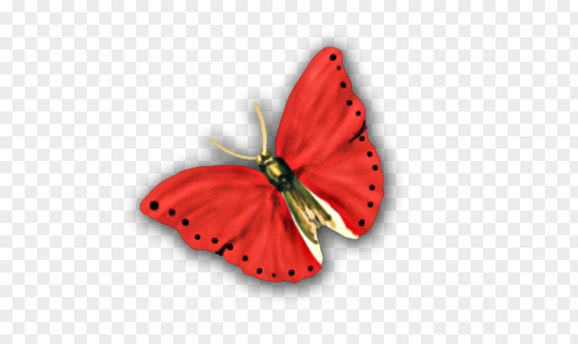 Red Butterfly Nymphalidae Clip Art PNG