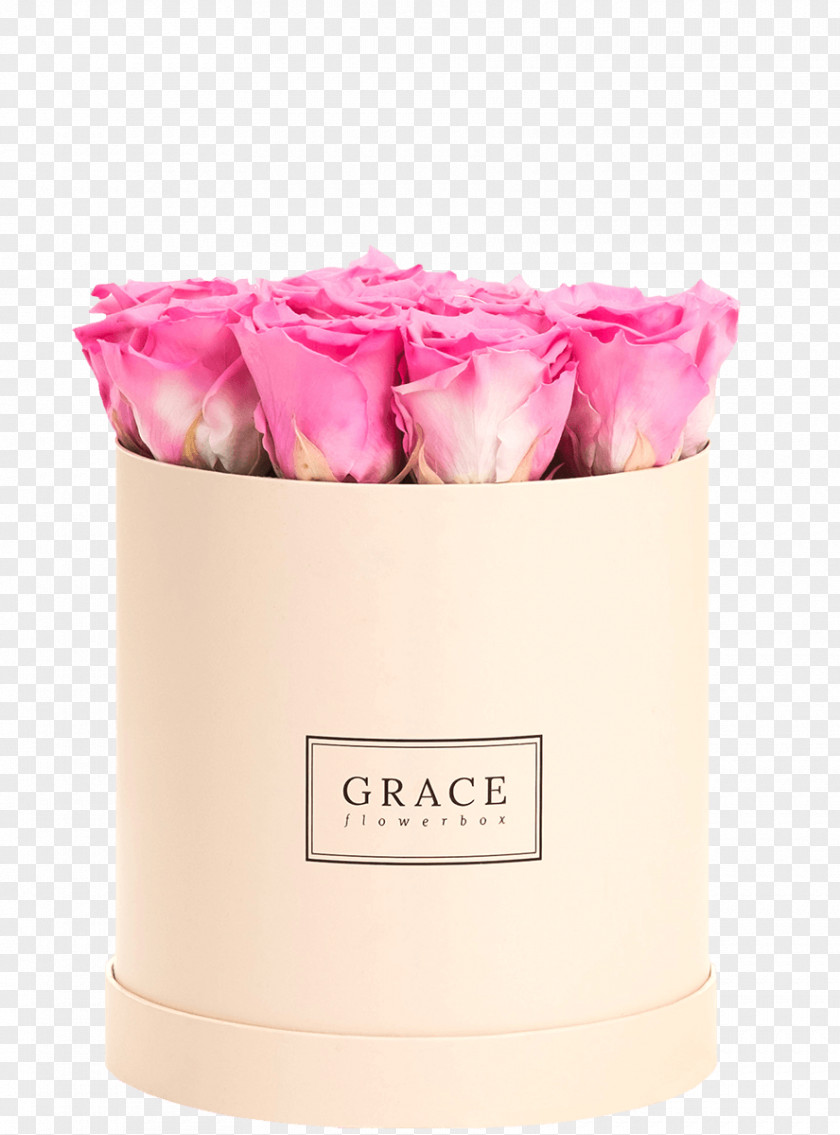 Rose Flower Box English Pink PNG