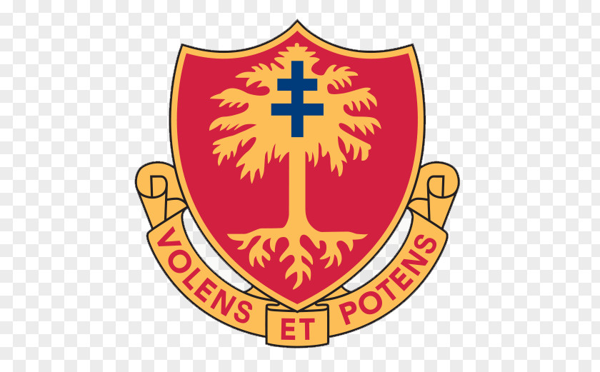 United States 320th Field Artillery Regiment Army 319th PNG