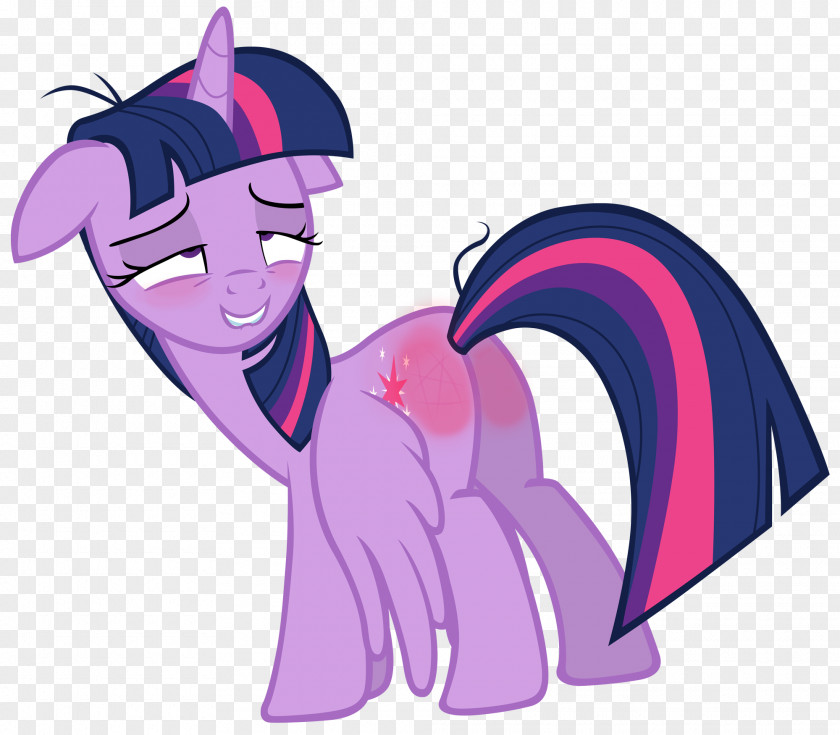 Bruise Twilight Sparkle Rainbow Dash Pony The Saga PNG