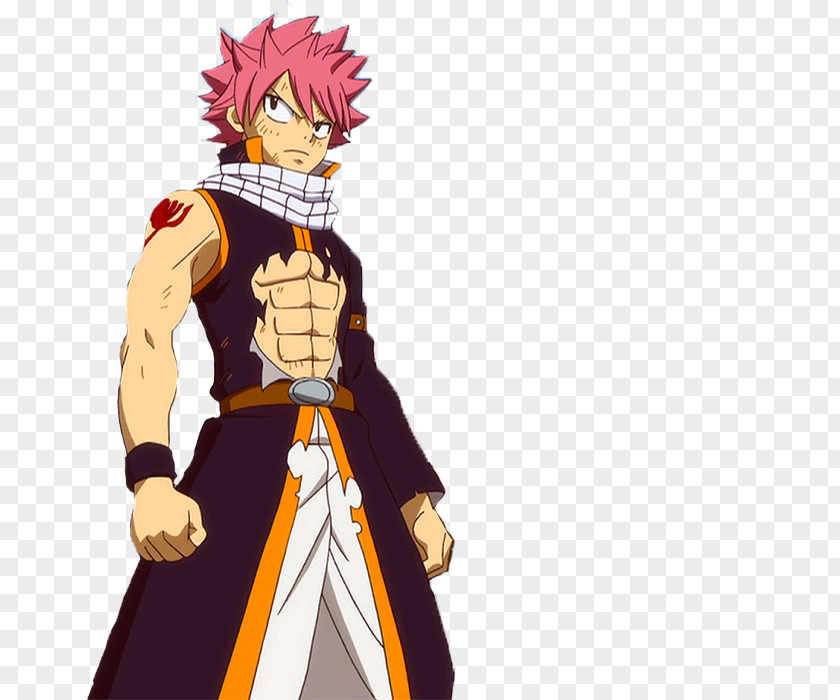 Fairy Tail Natsu Dragneel Wendy Marvell Juvia Lockser Gajeel Redfox PNG