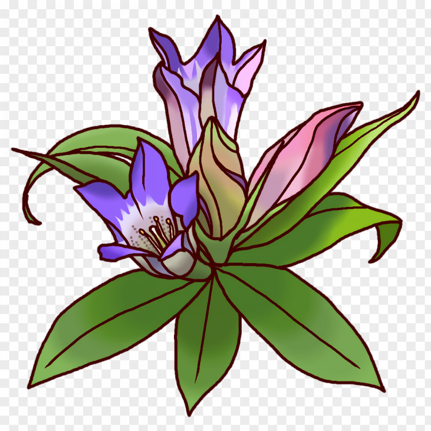 Floral Design PNG