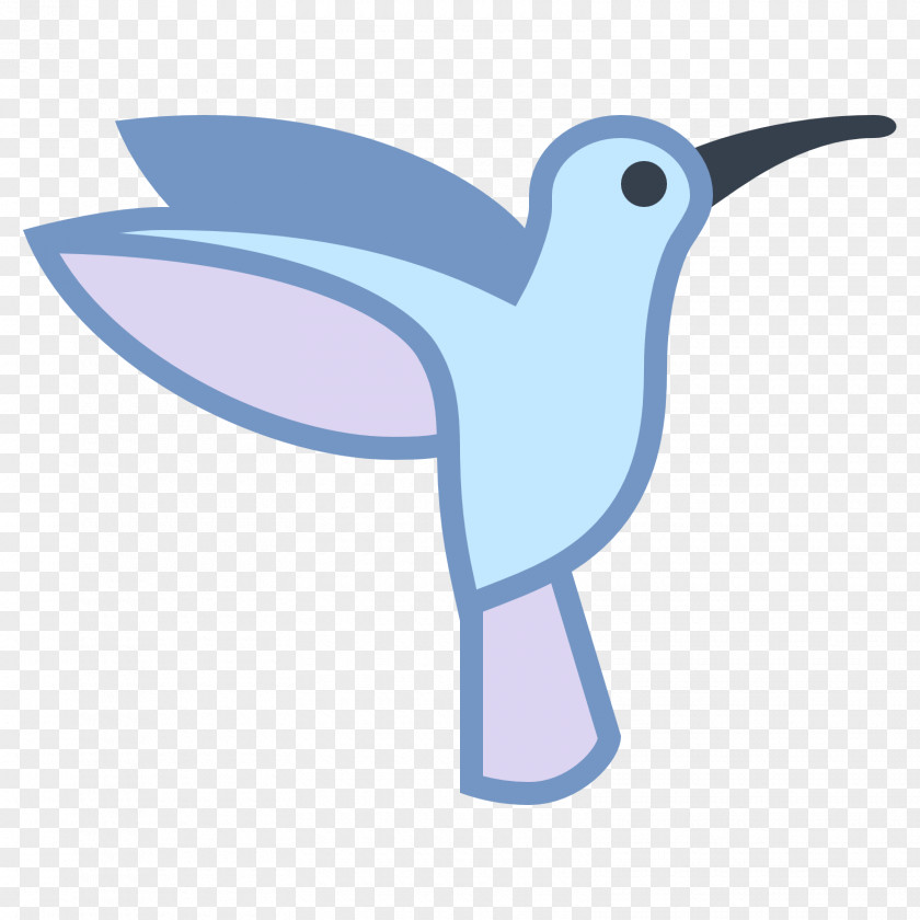 Hummingbird White-tailed Hillstar Clip Art PNG