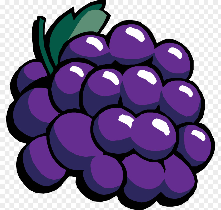 Pictures Of Grapes Common Grape Vine Wine Clip Art PNG