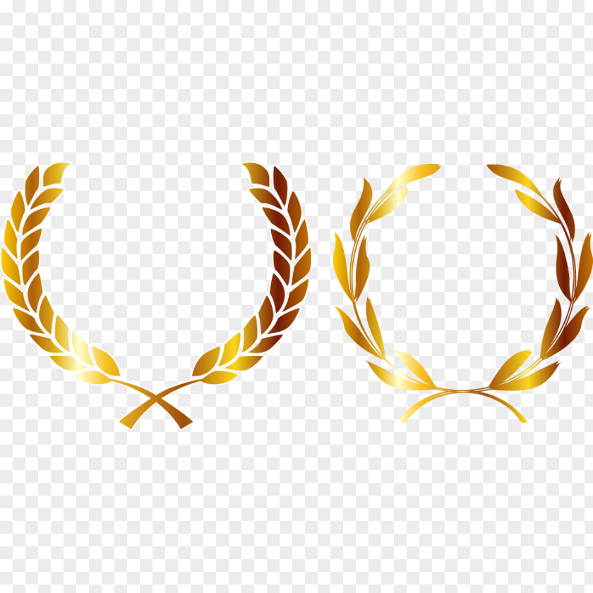 Second Paragraph Wheat Material Medal Crown Gold Laurel Wreath PNG