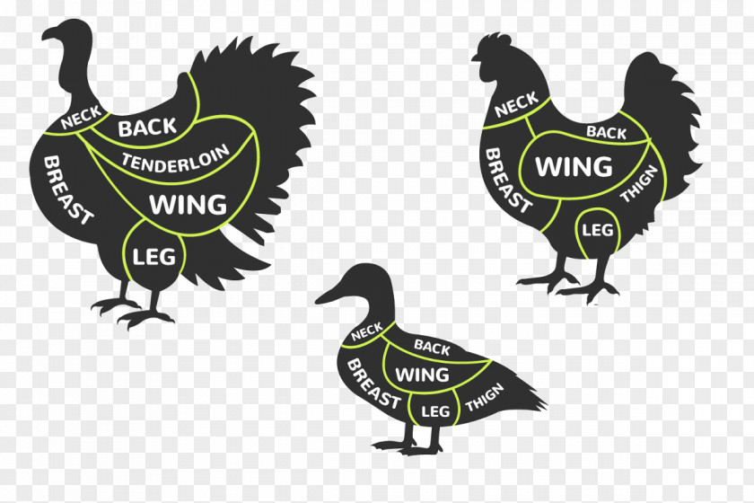 Spring Forward Duck Chicken Poultry Slaughterhouse Goose PNG