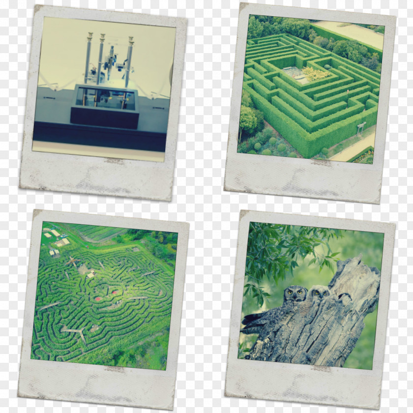 Turing Garden Picture Frames Lawn Maze PNG