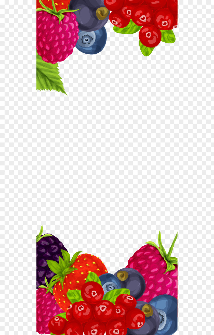 Cranberry Blackberry Strawberry Border Frutti Di Bosco Fruit Euclidean Vector PNG