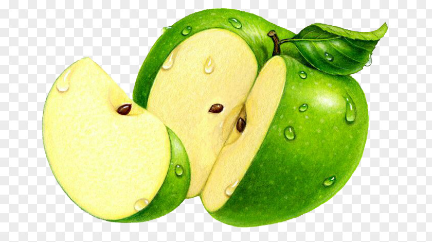 Fresh Green Apple Granny Smith Illustration PNG