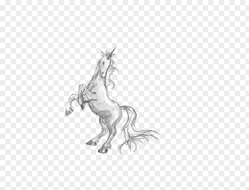 Hand-painted Unicorn Drawing Pencil Sketch PNG