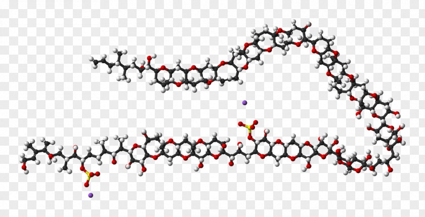 Maitotoxin Space-filling Model Nuclear Magnetic Resonance Spectroscopy Wikimedia Commons Molecule PNG