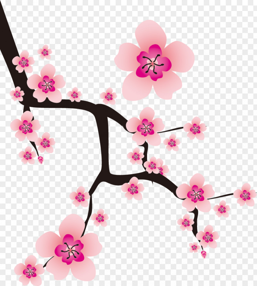 Oriental Plum Blossom Cherry Flower PNG