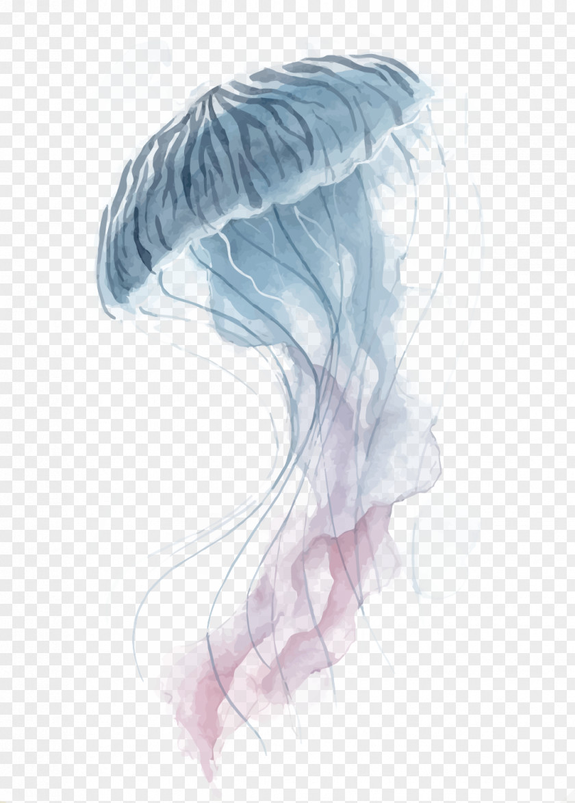 Vector Jellyfish Watercolor Painting PNG