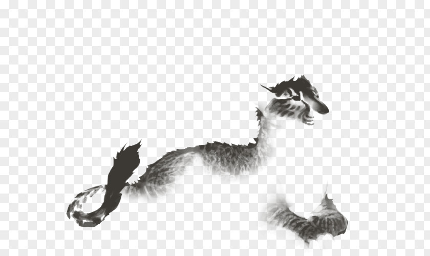 Cat Dog Canidae Fur Drawing PNG