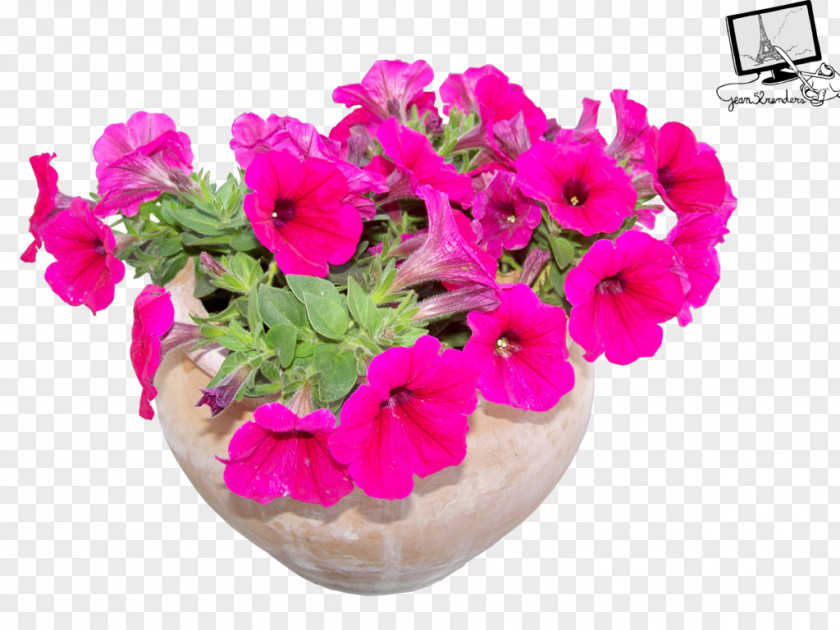 Flower Pot Flowerpot Houseplant Clip Art PNG