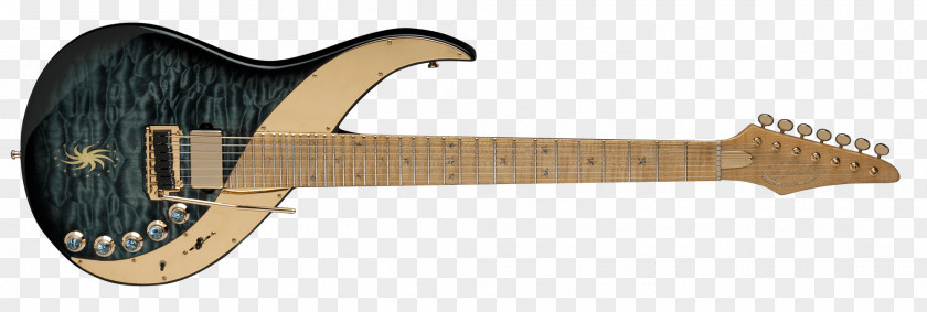 Guitarist Fender Stratocaster Seven-string Guitar Musical Instruments Electric PNG