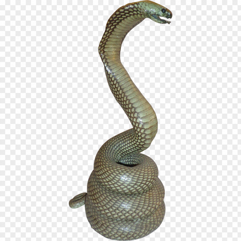 Snake Rattlesnake Reptile King Cobra PNG