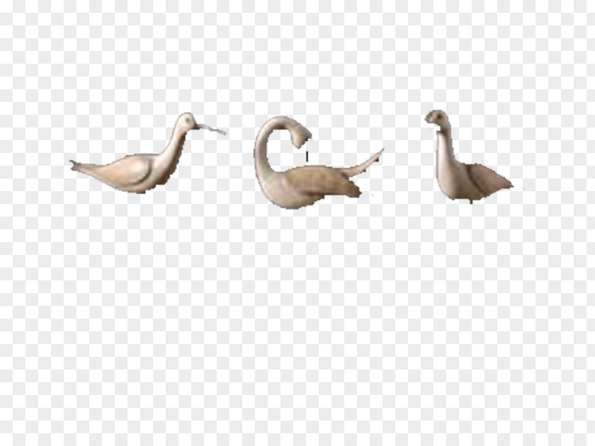 Swan Decoration Duck Cygnini Goose PNG