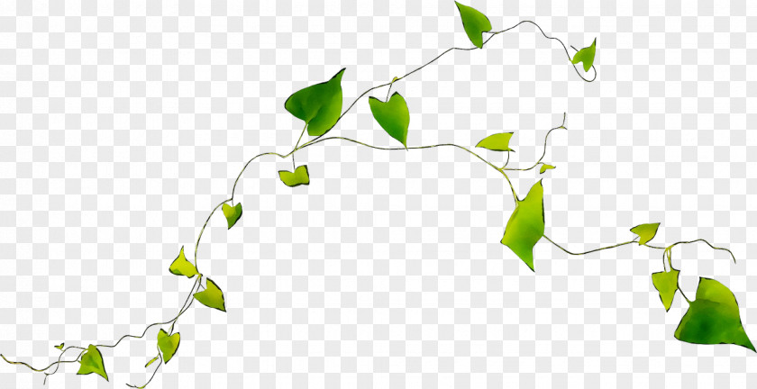 Twig Plant Stem Desktop Wallpaper Flower Leaf PNG