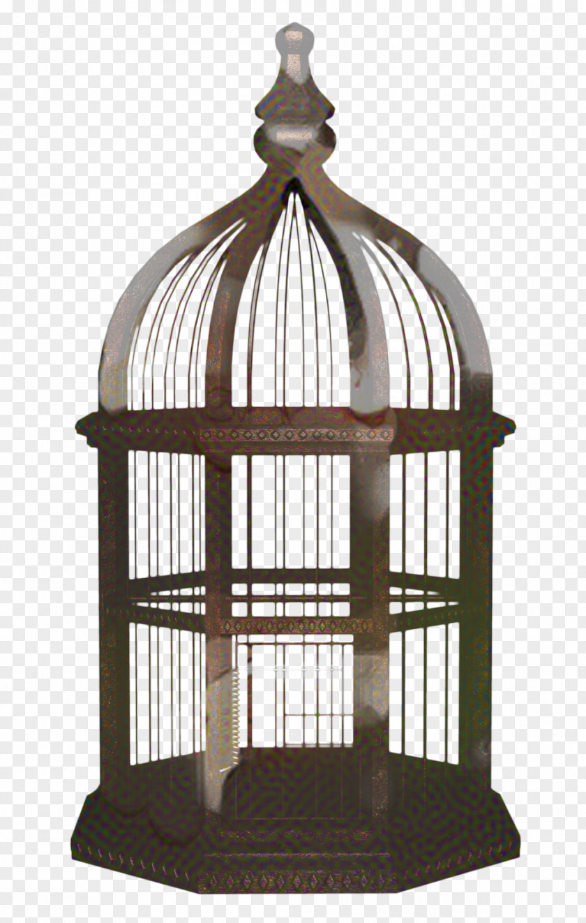 Bird Supply Lighting Cage PNG