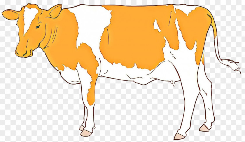 Dairy Cattle Calf Clip Art PNG
