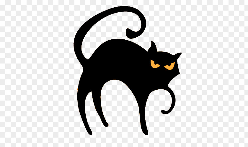 Halloween Somali Cat Black Kitten Icon PNG
