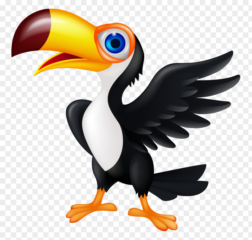 Toucan Bird Animation Clip Art PNG
