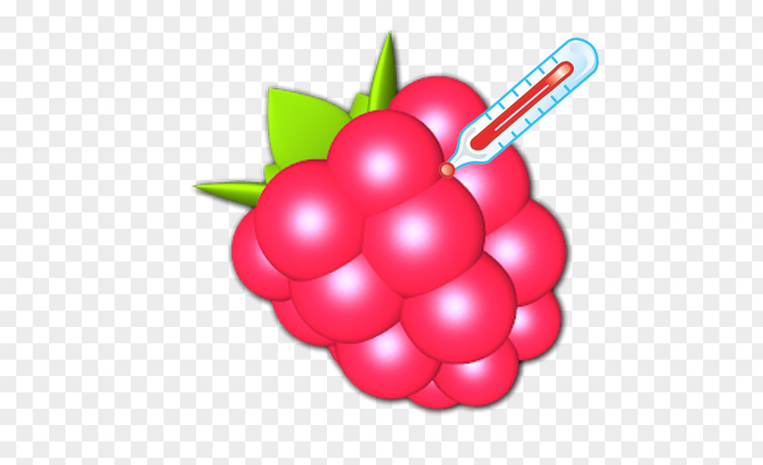 Android Raspberry Pi PNG