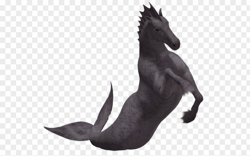 Hippocampus Dog Breed Poser Horse PNG